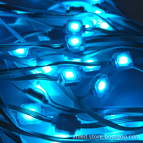 Outdoor Holiday LED Point Lights for Christmas Decorations